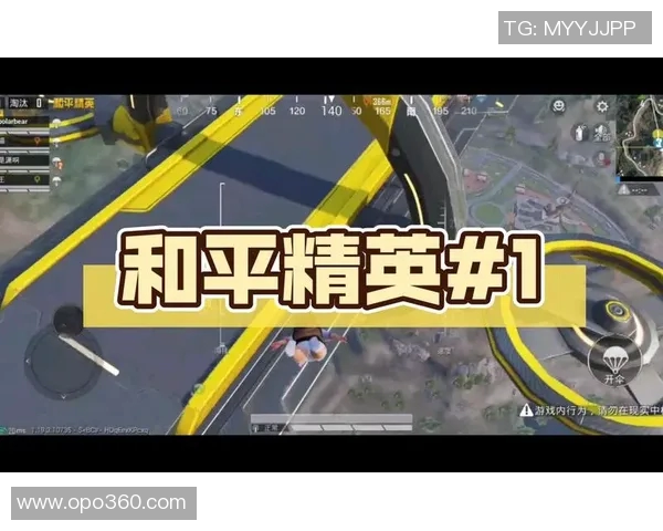 和平精英V5控制系统深度解析与游戏策略探讨