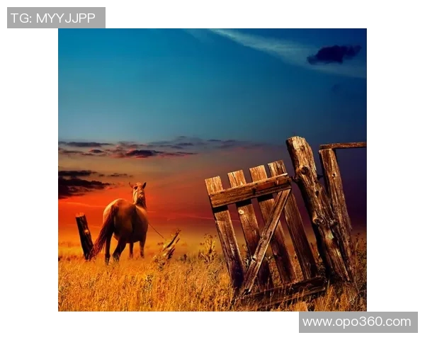 布莱克尼的魅力探秘：历史文化与自然风光的完美融合之旅