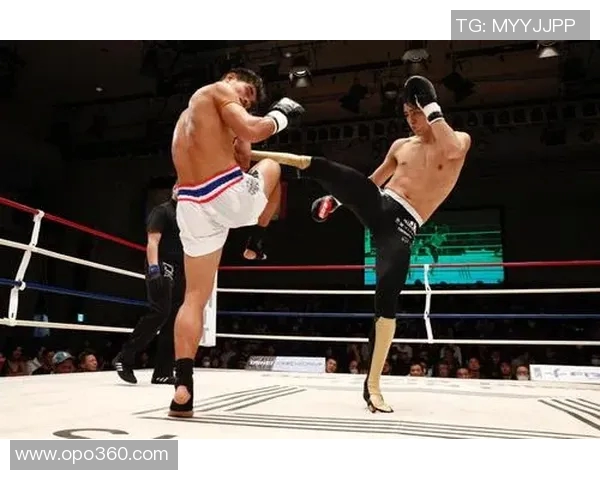 熊朝忠与奎洛激战在即谁将成为拳坛新王者的焦点之战